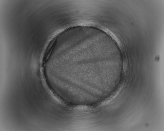 X0000102480581200808221709