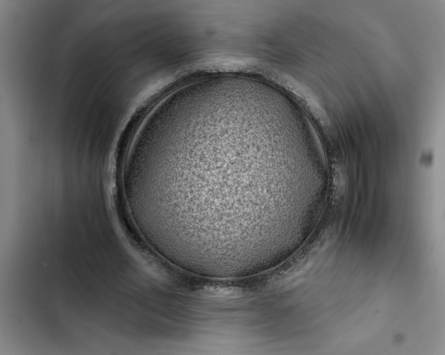 X0000102480582200808221709