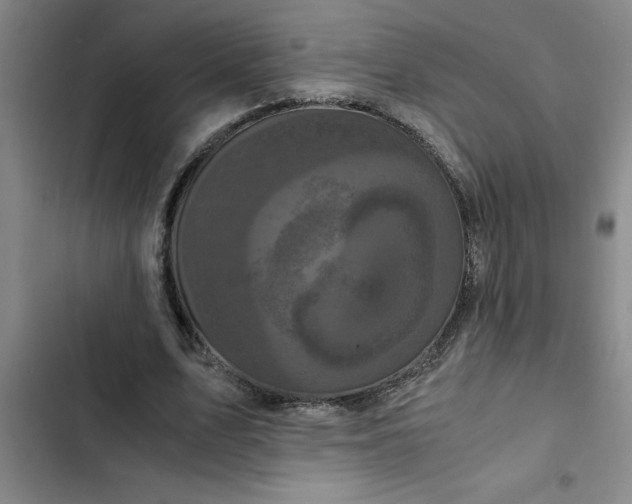 X0000102480583200808221709