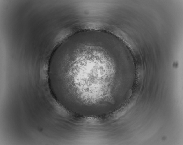 X0000102480585200808221709