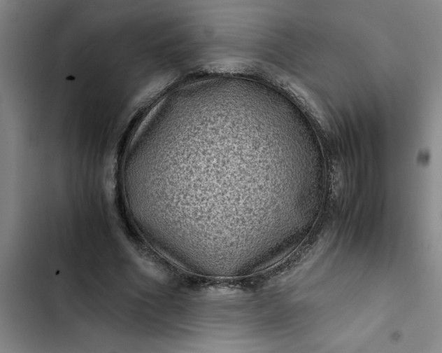 X0000102480586200808221709