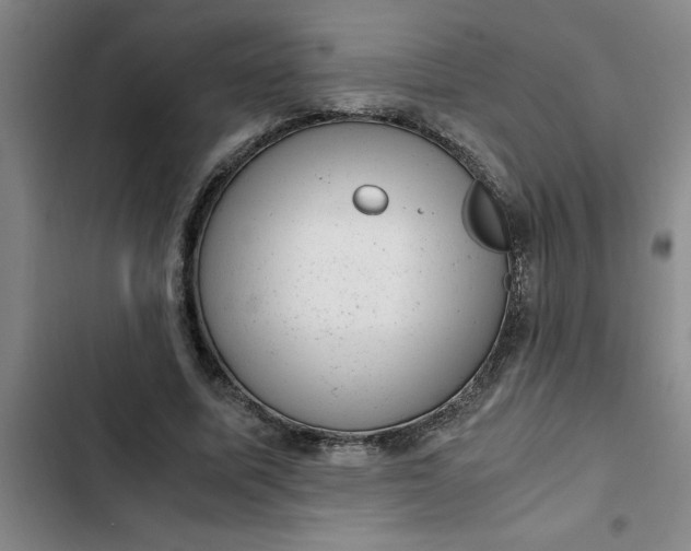 X0000102480587200808221709