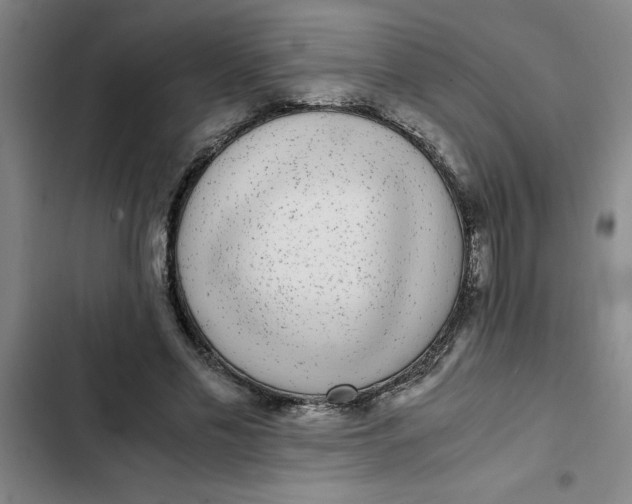 X0000102480589200808221709