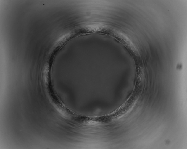 X0000102480590200808221709