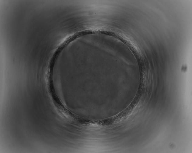 X0000102480592200808221709