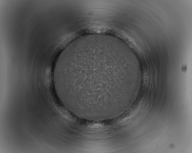 X0000102480594200808221709