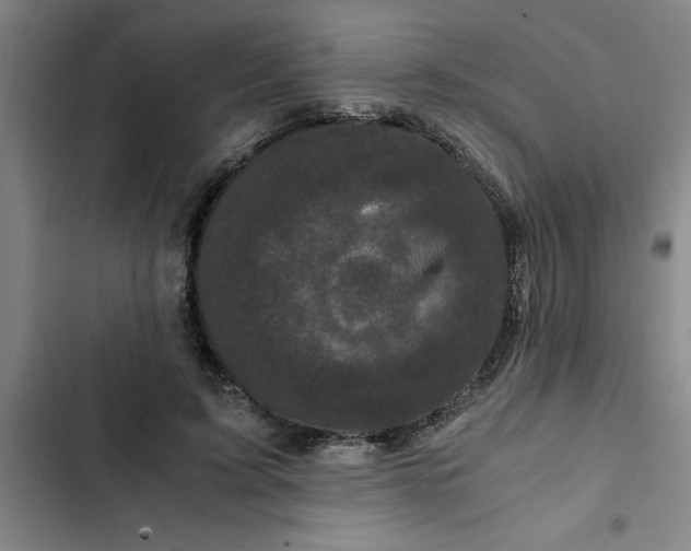 X0000102480595200808221709