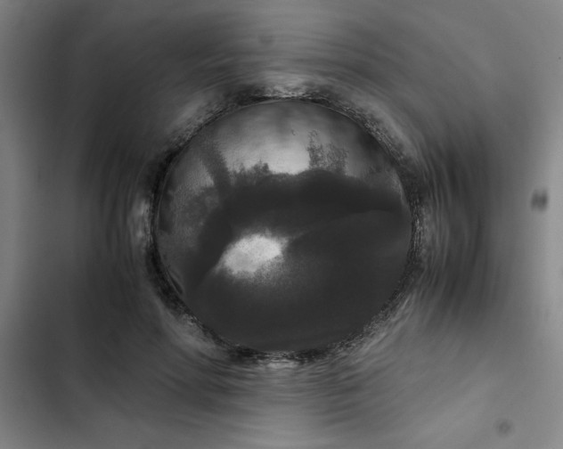 X0000102480598200808221709