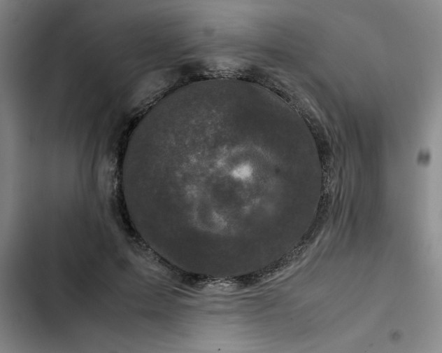 X0000102480599200808221709