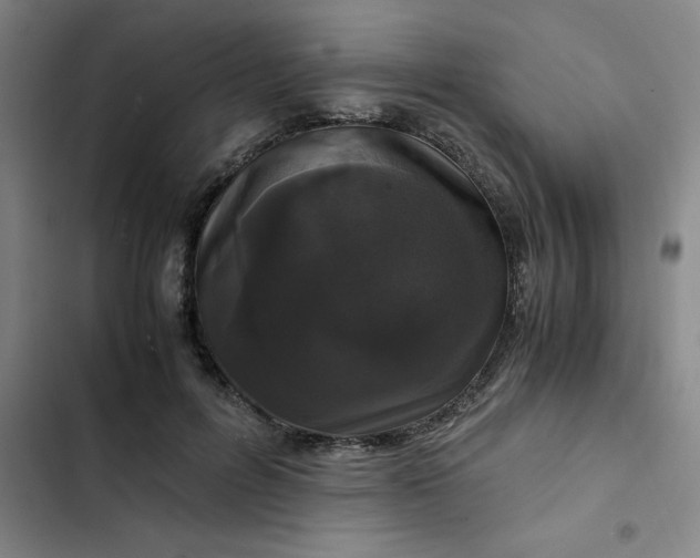 X0000102480600200808221709