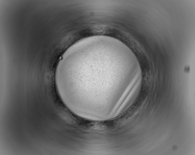 X0000102480601200808221709