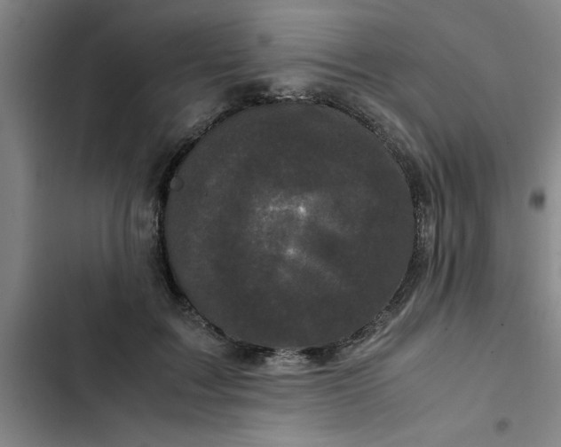 X0000102480603200808221709