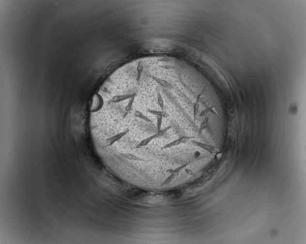 X0000102480604200808221709