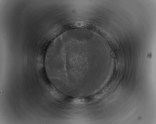 X0000102480606200808221709