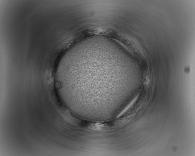 X0000102480607200808221709