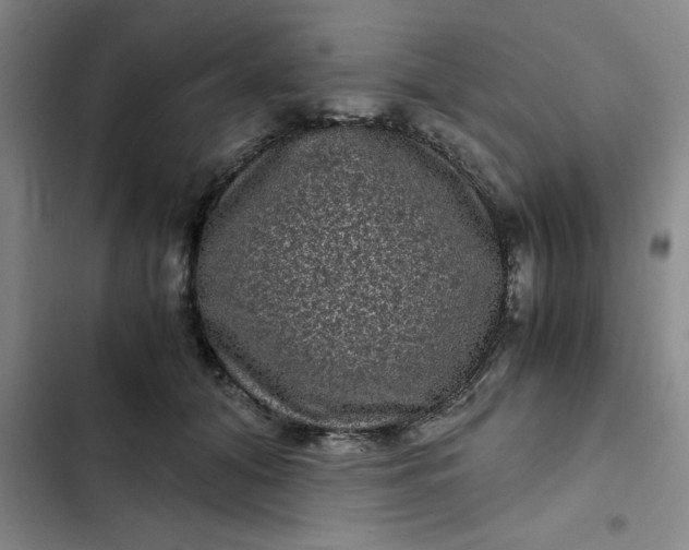 X0000102480608200808221709