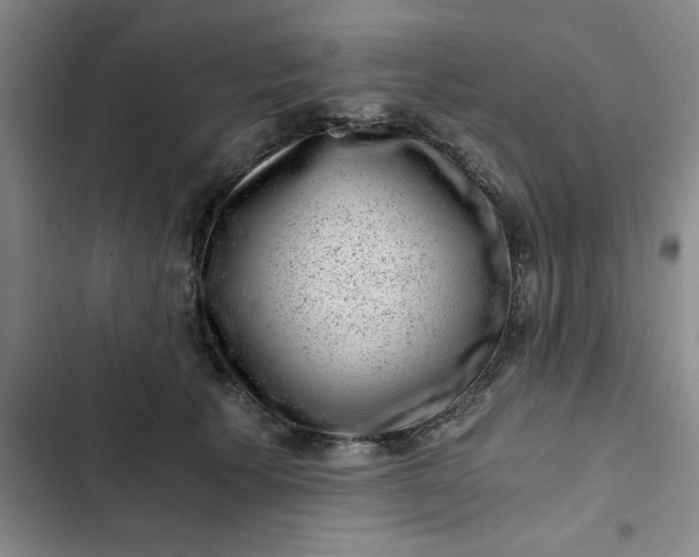 X0000102480609200808221709