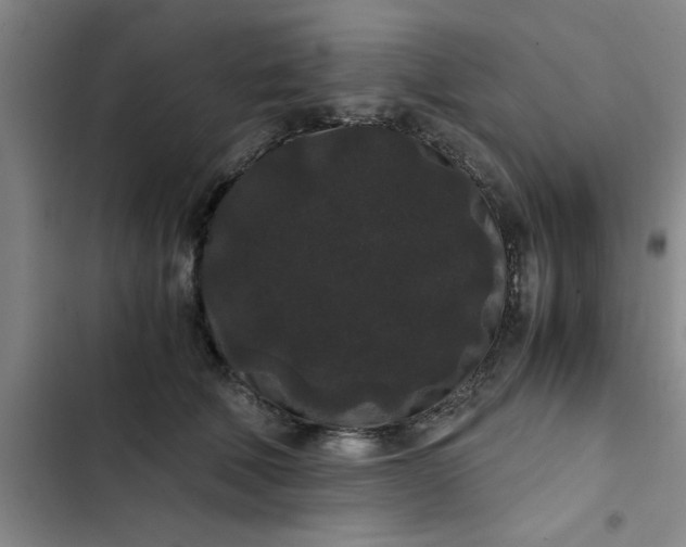 X0000102480610200808221709