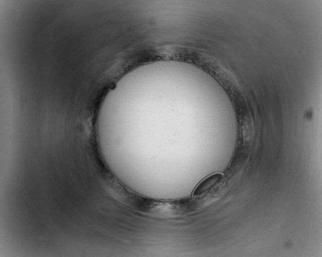 X0000102480611200808221709