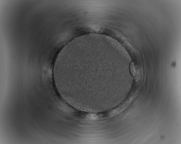 X0000102480613200808221708