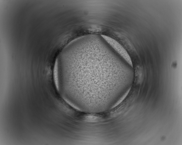 X0000102480614200808221708