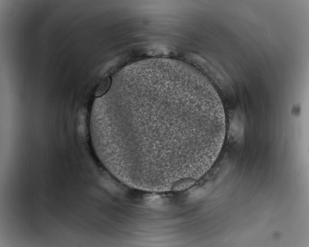 X0000102480616200808221708