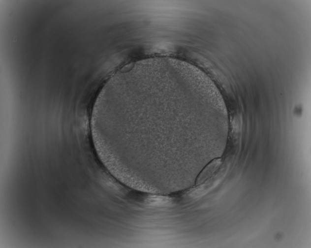 X0000102480617200808221708