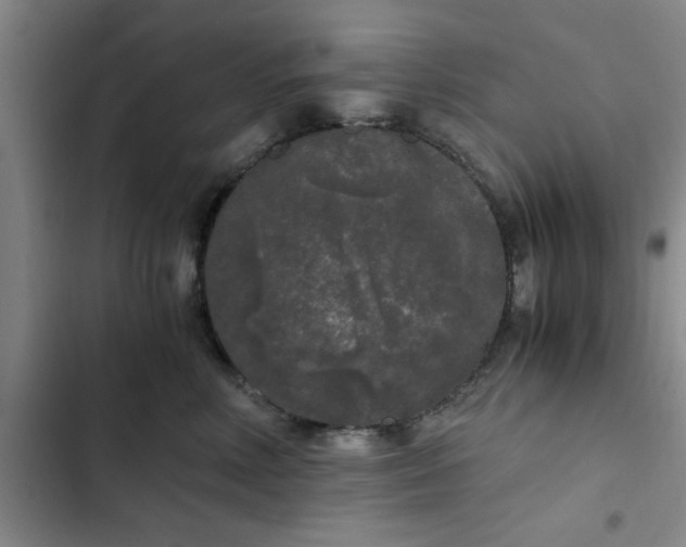 X0000102480618200808221708