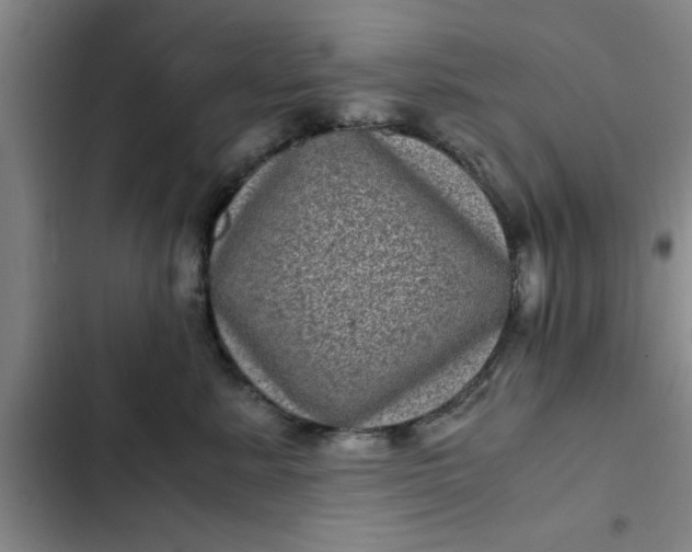 X0000102480619200808221708