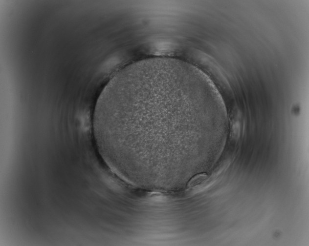 X0000102480620200808221708