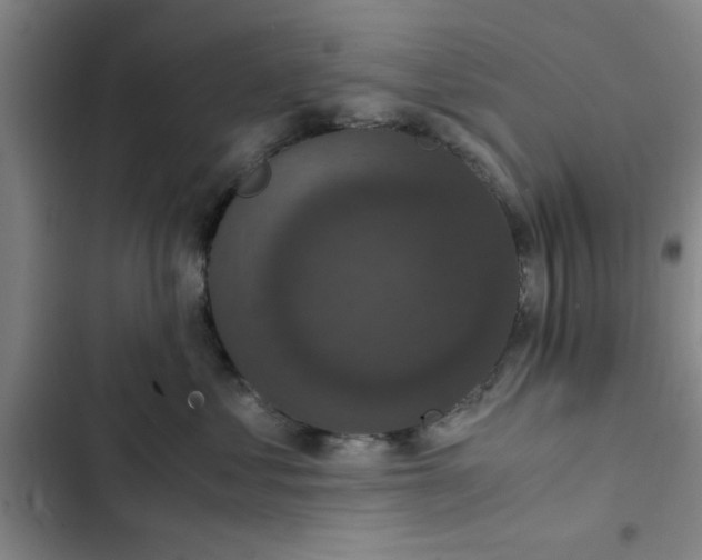 X0000102480621200808221708