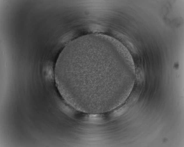 X0000102480622200808221708