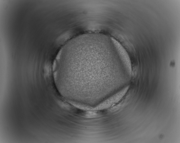 X0000102480623200808221708