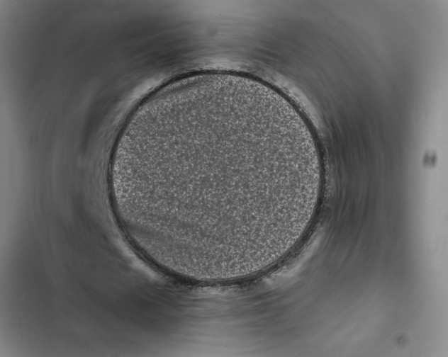 X0000102480625200808221708