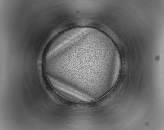 X0000102480626200808221708