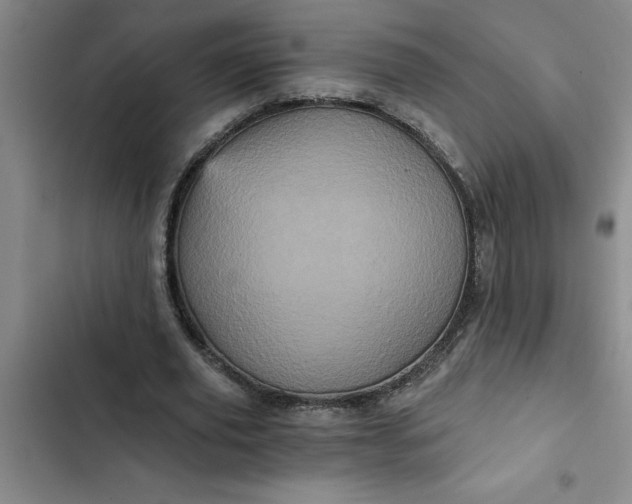 X0000102480629200808221708