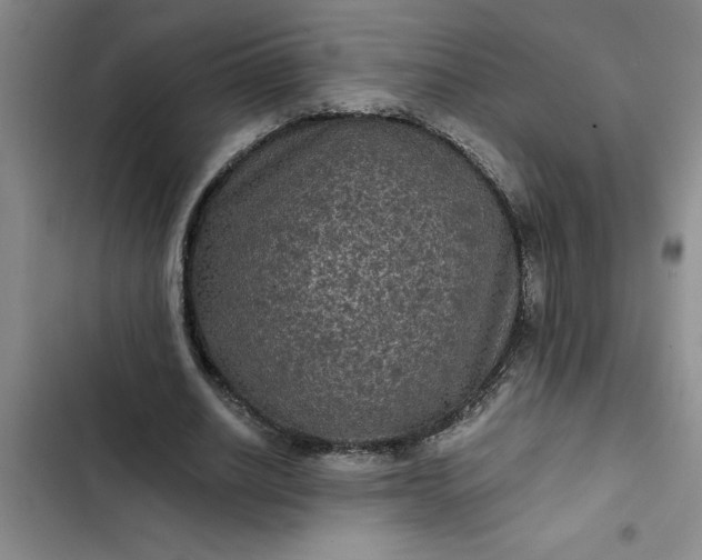 X0000102480630200808221708