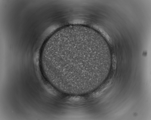 X0000102480631200808221708