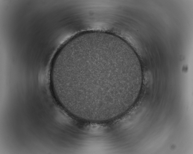 X0000102480632200808221708