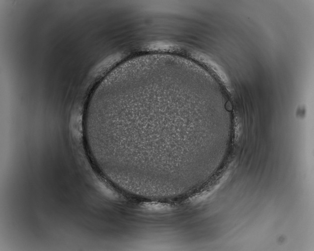 X0000102480633200808221708