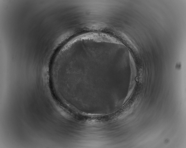 X0000102480634200808221708