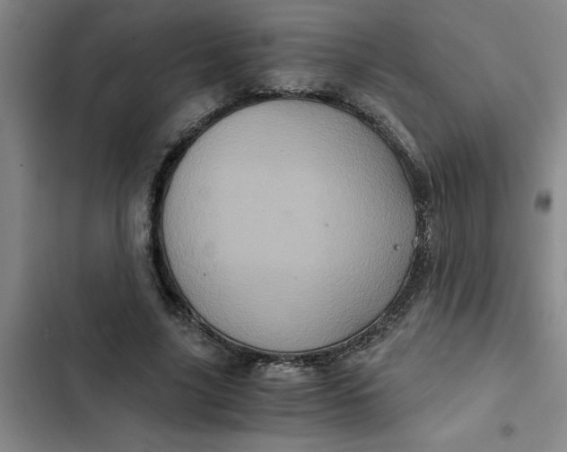 X0000102480635200808221708