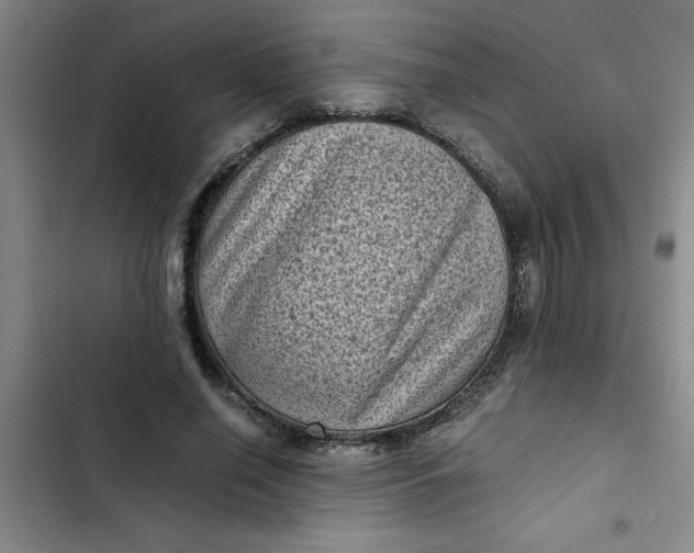 X0000102480638200808221708