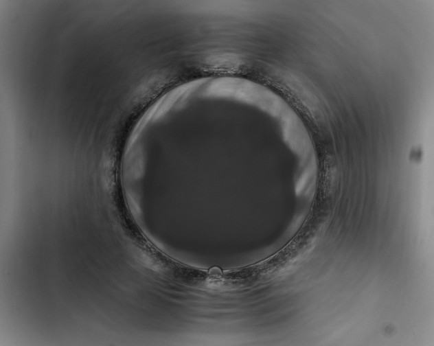 X0000102480641200808221708