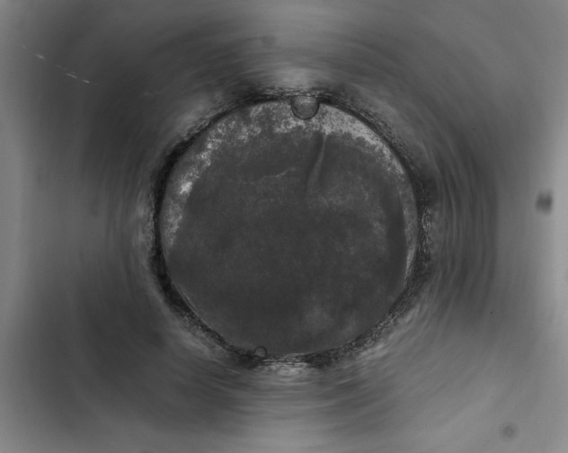 X0000102480642200808221708