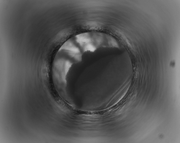 X0000102480643200808221708