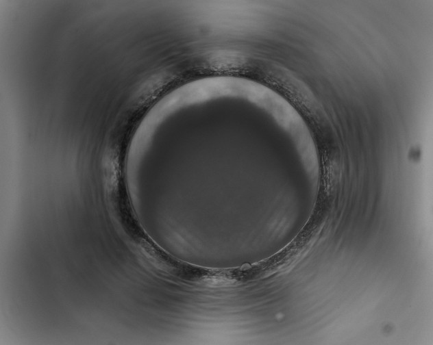 X0000102480644200808221708