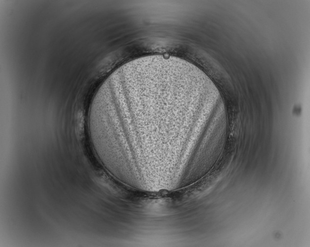 X0000102480646200808221708