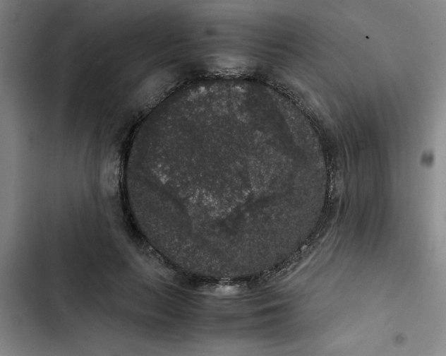 X0000102480647200808221708