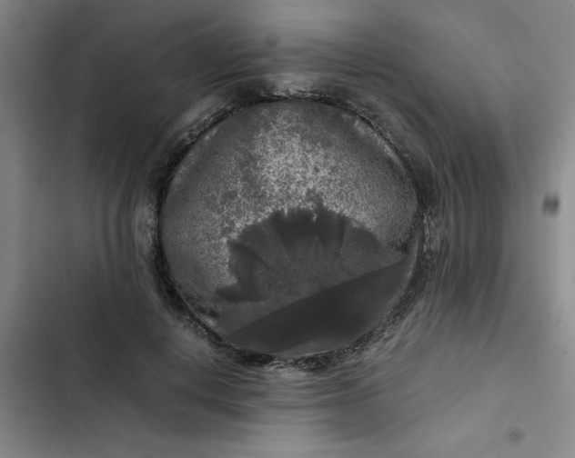 X0000102480648200808221708